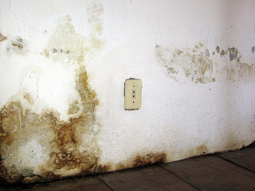 Qual è lumidità ottimale allinterno della casa? Perchè si forma l umidità in casa
