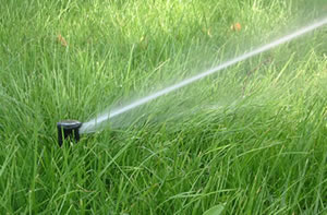 Un irrigatore da giardino